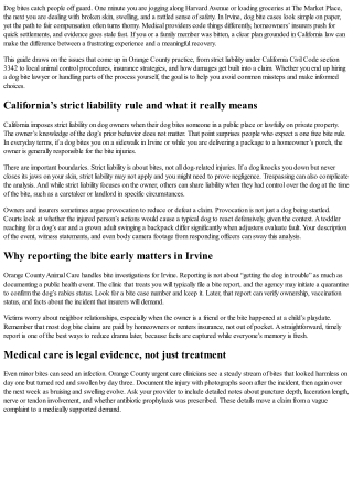 Dog Bite Lawyer Advice: What Victims in Irvine Should Know
