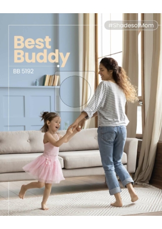 Interior Painting Solutions - Birla Opus Prime