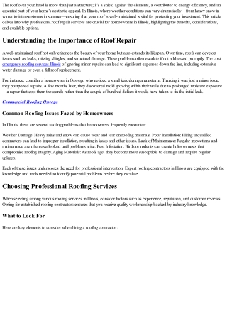 Investing in Your Home: The Value of Professional Roof Repair Services in Illino