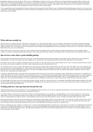 Pet Boarding Service Add-Ons: Spa, Training, and Enrichment Options