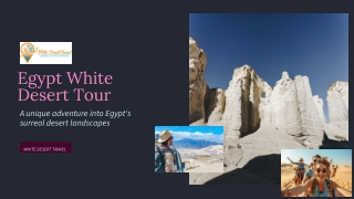 Egypt White Desert Tour | White Desert Travel Adventures