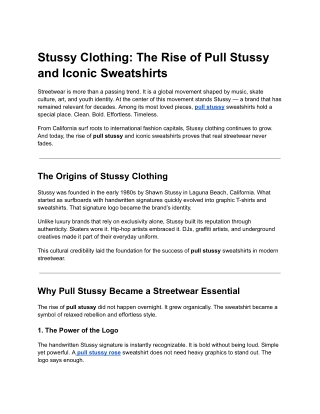 Stussy Clothing_ The Rise of Pull Stussy and Iconic Sweatshirts