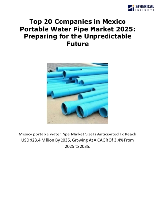 Top 20 Companies Mexico Portable Water Pipe Market (1)