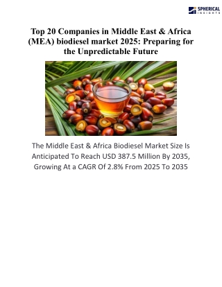 Top 20 Companies In  Middle East & Africa (MEA) biodiesel market