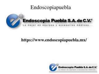 Endoscopio Flexible Veterinario