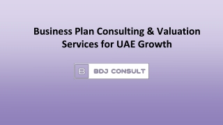 Business Plan Consulting & Valuation Services for UAE Growth