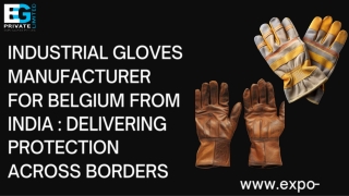 Industrial Gloves Manufacturer for Belgium from India