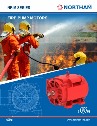 Reliable NEMA Fire Pump Motor Distributor in the United States | Northam Inc