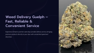 Weed-Delivery-Guelph-Fast-Reliable-and-Convenient-Service