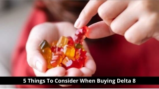 5 Things To Consider When Buying Delta 8
