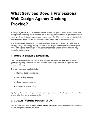 What Services Does a Professional Web Design Agency Geelong Provide?