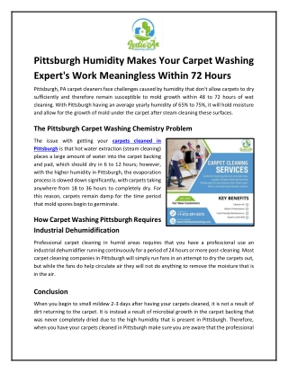 Pittsburgh Humidity Makes Your Carpet Washing Expert's Work Meaningless Within 72 Hours