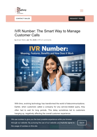 IVR Number