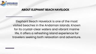About Elephant Beach Havelock