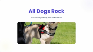 All Dogs Rock  - Dog Training  West palm beach