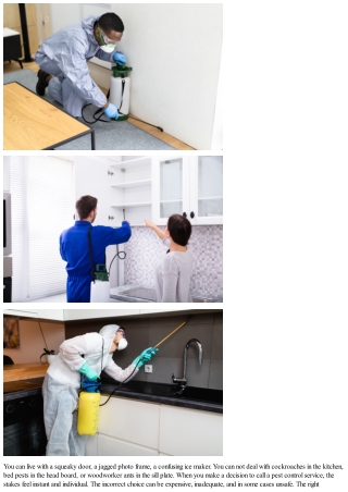 Choosing the Right Exterminator Service: How to Contrast Pest Control Companies