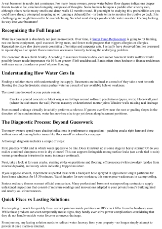 Dealing with Persistent Water inside the Basement: Next Steps