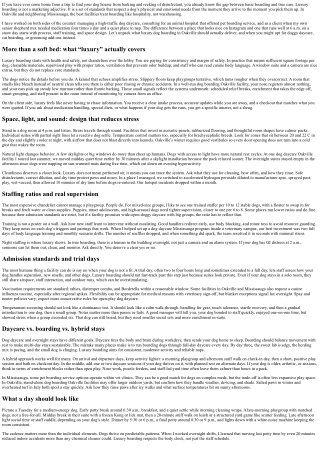 Dog Boarding Oakville: What Luxury Boarding Really Means