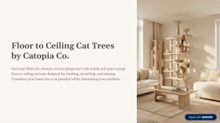 Floor-to-Ceiling-Cat-Trees-by-Catopia-Co