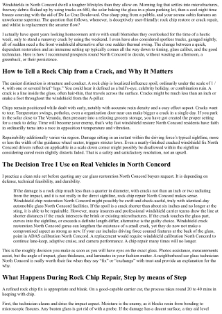 Rock Chip vs Crack Repair in North Concord: Which Service Do You Need?