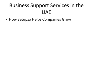 Setupzo_Business_Services_Presentation