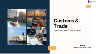 Mastering UAE Customs: Expert Solutions for Your Business