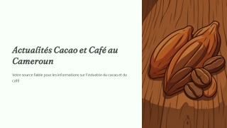 Cocoa and Coffee News in Cameroon | Market Trends & Updates