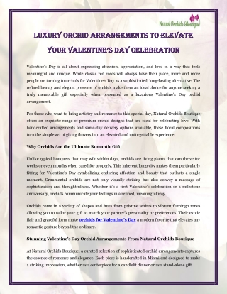 Luxury Orchid Arrangements to Elevate Your Valentine’s Day Celebration