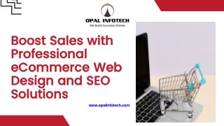 Boost Sales with Professional eCommerce Web Design and SEO Solutions