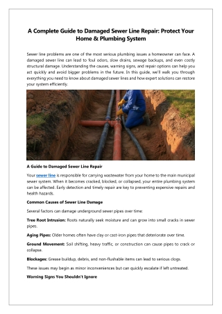 A Complete Guide to Damaged Sewer Line Repair