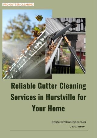 Reliable Gutter Cleaning Services in Hurstville for Your Home