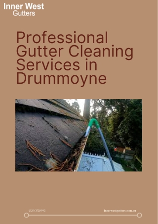 Professional Gutter Cleaning Services in Drummoyne