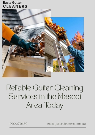 Reliable Gutter Cleaning Services in the Mascot Area Today
