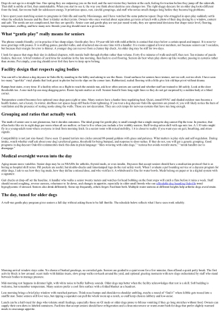 Dog Daycare Oakville: Senior Dog Care and Gentle Play Options