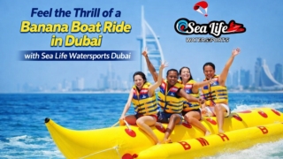 Experience the Ultimate Water Adventure with Sea Life Watersports Dubai