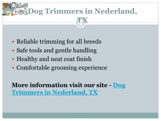 Affordable Dog Nail Trimming in Nederland, TX Services