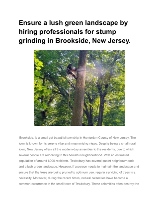 Ensure a lush green landscape by hiring professionals for stump grinding in Brookside, New Jersey