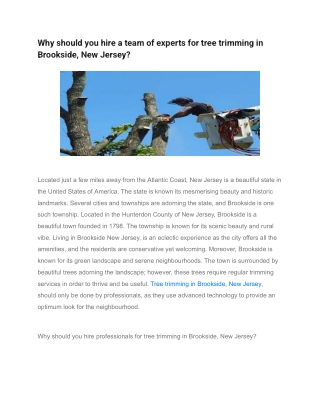 Why should you hire a team of experts for tree trimming in Brookside, New Jersey