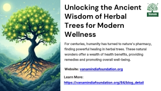 Unlocking the Health Benefits of Herbal Trees for Wellness
