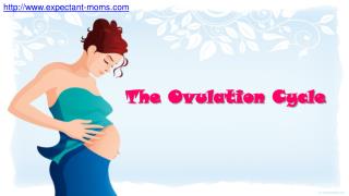 know your the ovulation cycle