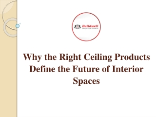 Why the Right Ceiling Products Define the Future of Interior Spaces