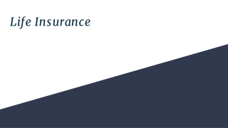 Best Life Insurance, Term Insurance,  Compare Popular Life Insurance Plans - Paybima