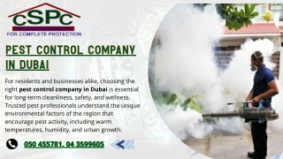 Transform Your Space with Professional Rodent Control and Pest Solutions in Dubai