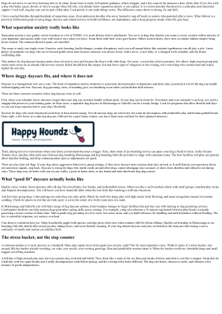 Dog Day Care and Separation Anxiety: Building Confidence