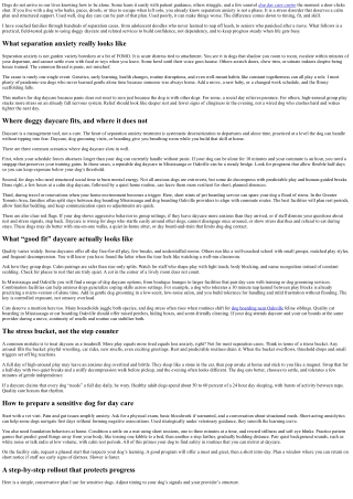 Dog Day Care and Separation Anxiety: Building Confidence