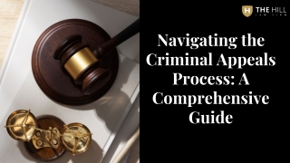 Navigating the Criminal Appeals Process A Comprehensive Guide