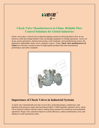 Check Valve Manufacturers in China Reliable Flow Control Solutions for Global Industries