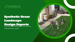 Best landscape design company