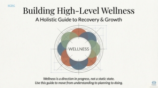 High Level_Wellness_Blueprint.pdf