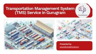 _Transportation Management System (TMS) Service in Gurugram - (1)